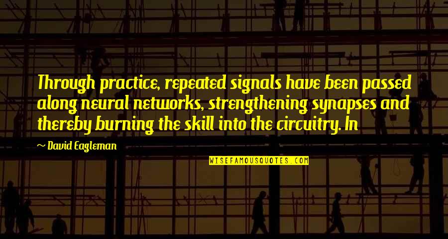 Lazy Worker Quotes By David Eagleman: Through practice, repeated signals have been passed along