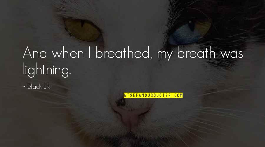 Lazzara Daniels Quotes By Black Elk: And when I breathed, my breath was lightning. Lazzara Daniels Quotes By Black Elk: And when I breathed, my breath was lightning.