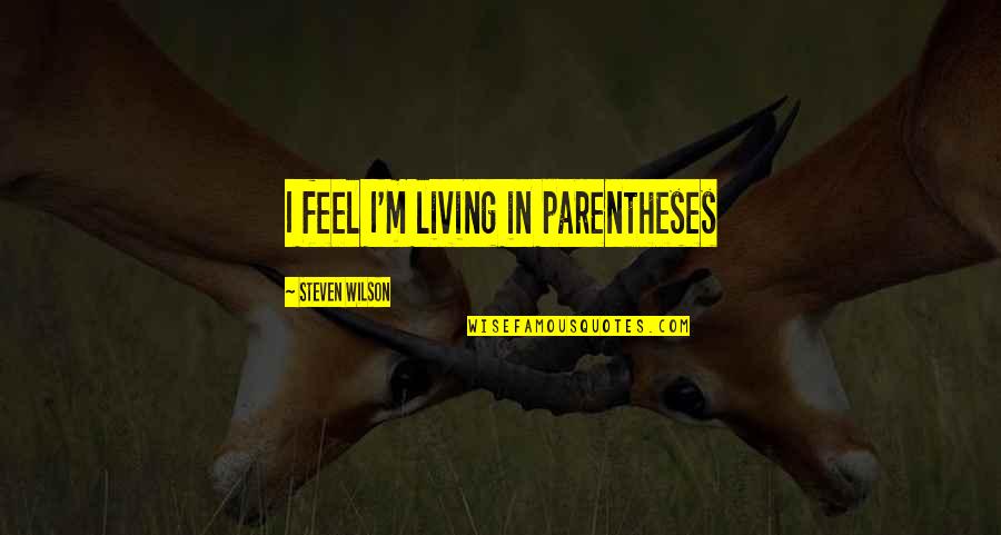 Lazzara Daniels Quotes By Steven Wilson: I feel I'm living in parentheses Lazzara Daniels Quotes By Steven Wilson: I feel I'm living in parentheses