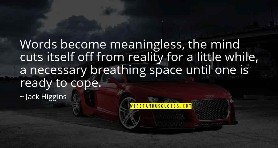 Lcd Monitor Quotes By Jack Higgins: Words become meaningless, the mind cuts itself off Lcd Monitor Quotes By Jack Higgins: Words become meaningless, the mind cuts itself off