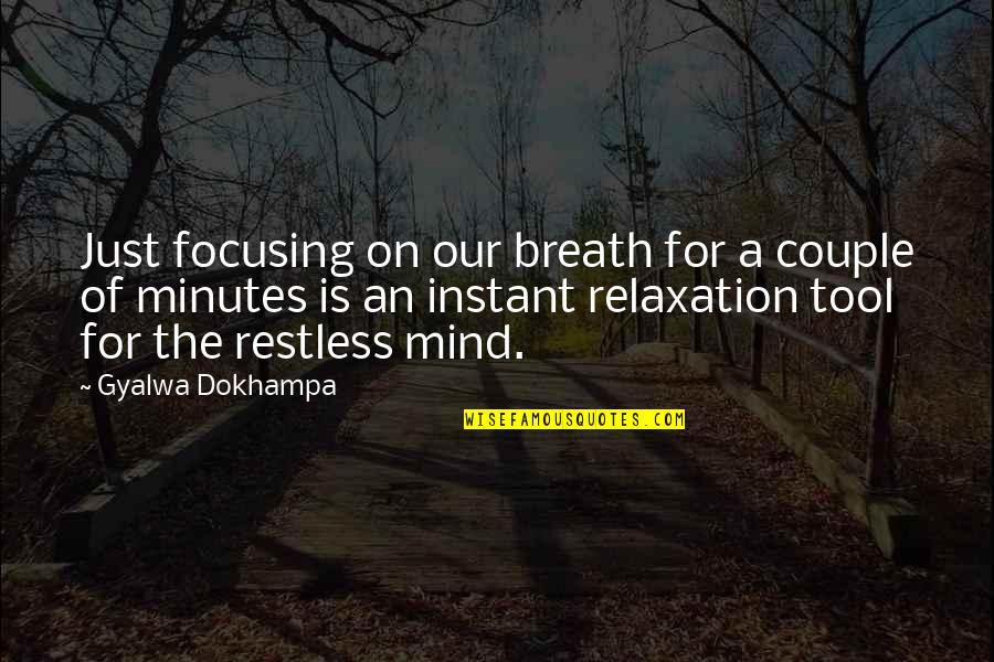 Ldhood Quotes By Gyalwa Dokhampa: Just focusing on our breath for a couple Ldhood Quotes By Gyalwa Dokhampa: Just focusing on our breath for a couple