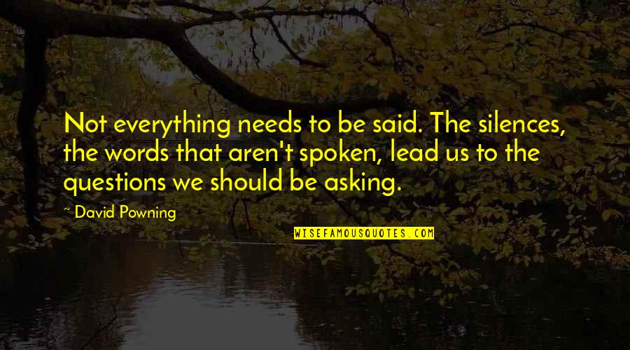 Lead In Words To Quotes By David Powning: Not everything needs to be said. The silences,