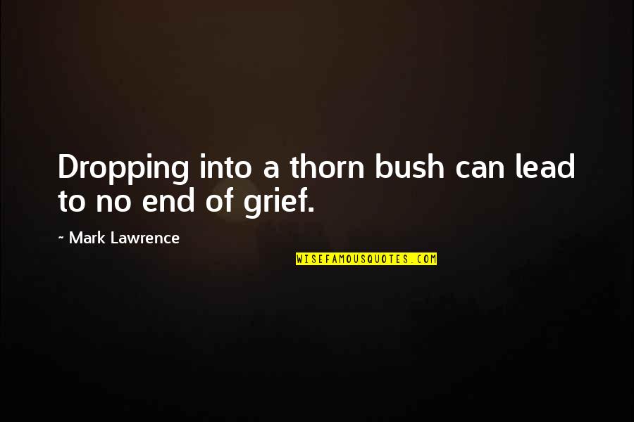 Lead Into Quotes By Mark Lawrence: Dropping into a thorn bush can lead to