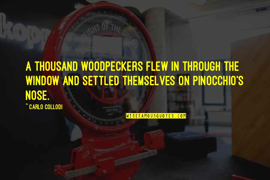 Leader Leads Quotes By Carlo Collodi: A thousand woodpeckers flew in through the window