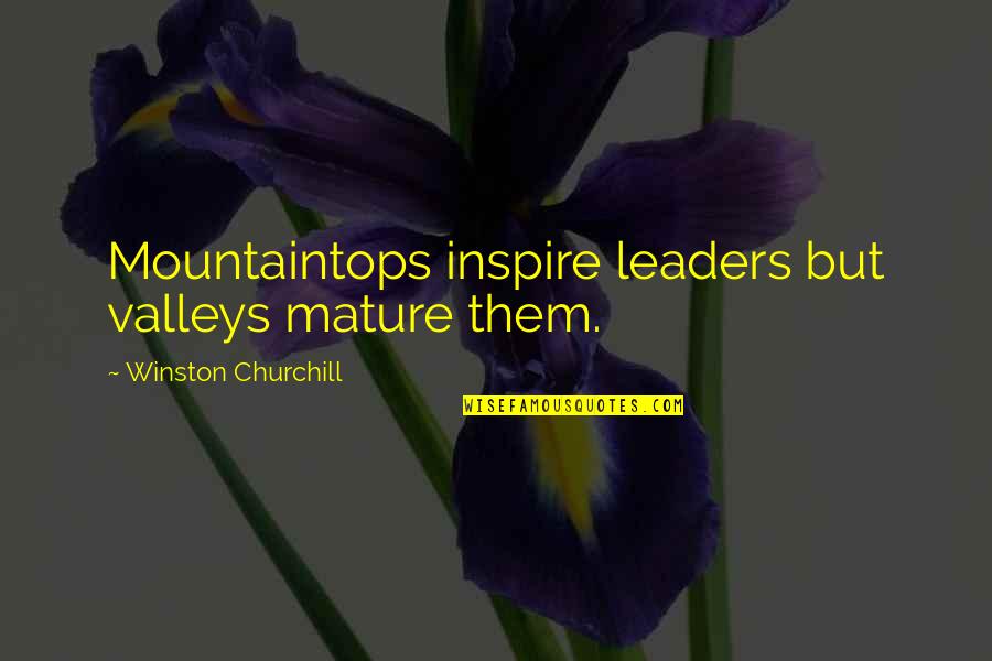 Leaders Inspire Quotes By Winston Churchill: Mountaintops inspire leaders but valleys mature them.