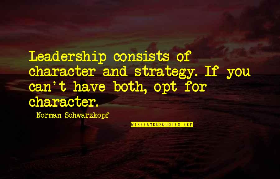 Leadership And Character Quotes By Norman Schwarzkopf: Leadership consists of character and strategy. If you