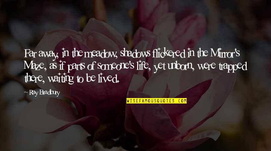 Leadership And Productivity Quotes By Ray Bradbury: Far away, in the meadow, shadows flickered in Leadership And Productivity Quotes By Ray Bradbury: Far away, in the meadow, shadows flickered in
