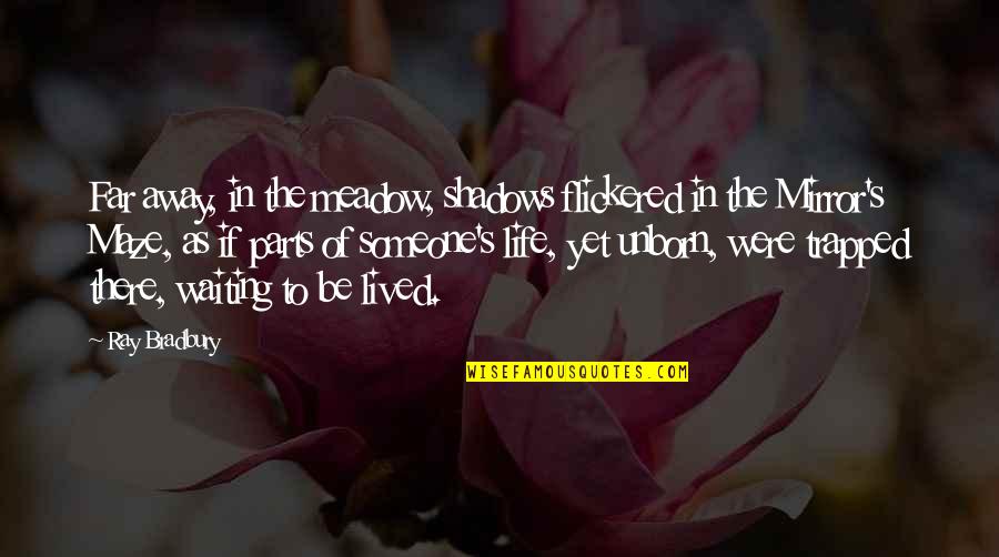 Leadership And Productivity Quotes By Ray Bradbury: Far away, in the meadow, shadows flickered in