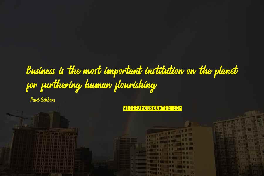 Leadership For Change Quotes By Paul Gibbons: Business is the most important institution on the