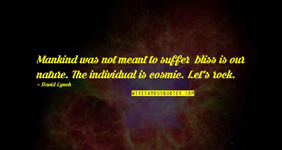 Leadhead Splicer Quotes By David Lynch: Mankind was not meant to suffer bliss is Leadhead Splicer Quotes By David Lynch: Mankind was not meant to suffer bliss is