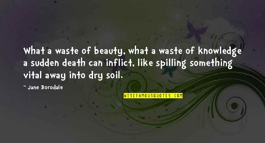 Leading A Team Quotes By Jane Borodale: What a waste of beauty, what a waste Leading A Team Quotes By Jane Borodale: What a waste of beauty, what a waste