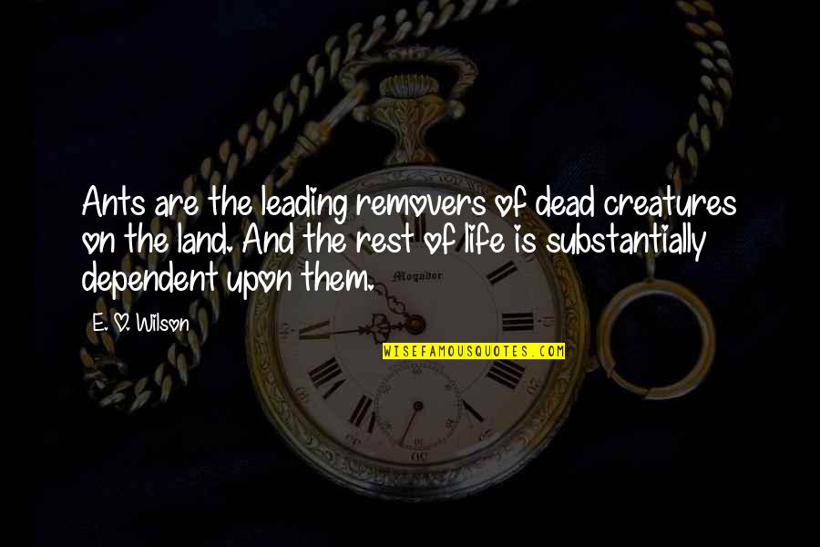 Leading On Quotes By E. O. Wilson: Ants are the leading removers of dead creatures Leading On Quotes By E. O. Wilson: Ants are the leading removers of dead creatures