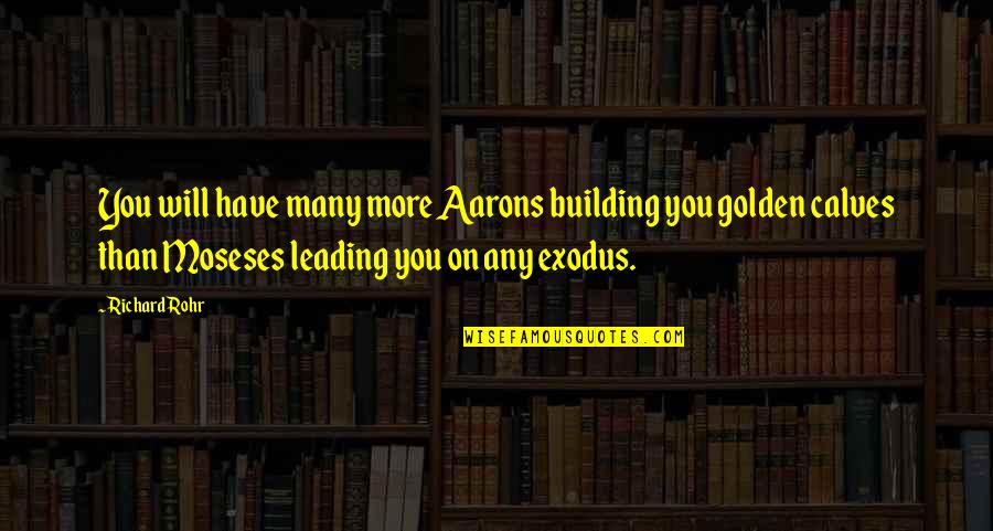 Leading On Quotes By Richard Rohr: You will have many more Aarons building you Leading On Quotes By Richard Rohr: You will have many more Aarons building you