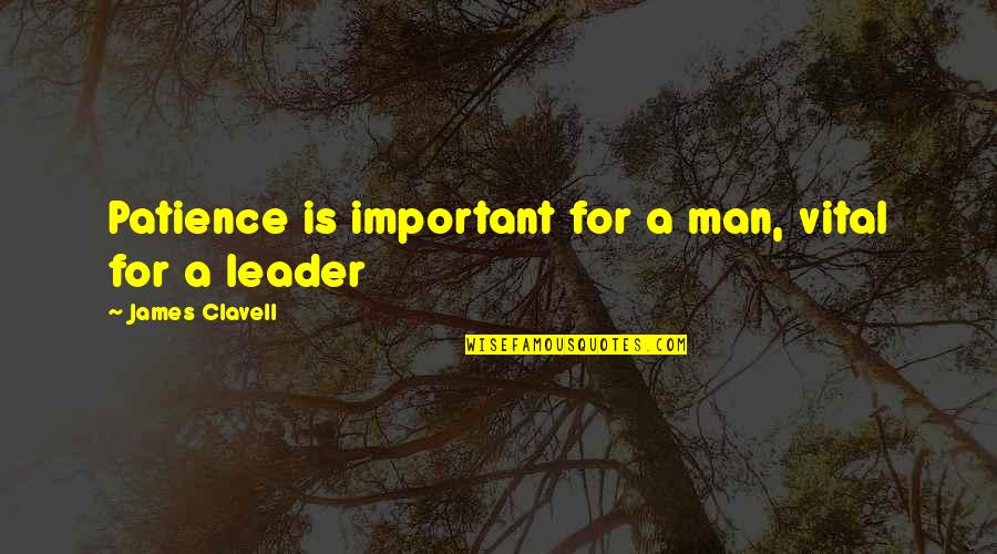 Leading You On Quotes By James Clavell: Patience is important for a man, vital for