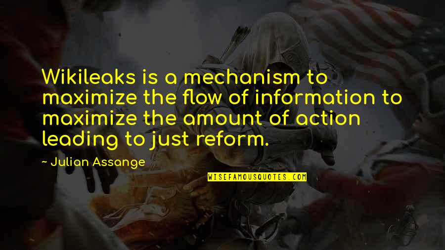 Leading You On Quotes By Julian Assange: Wikileaks is a mechanism to maximize the flow