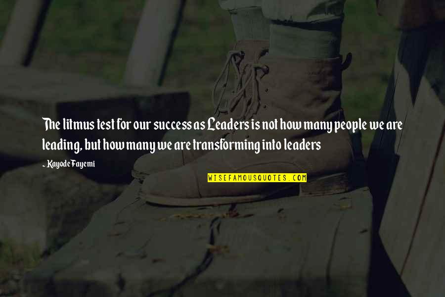 Leading You On Quotes By Kayode Fayemi: The litmus test for our success as Leaders