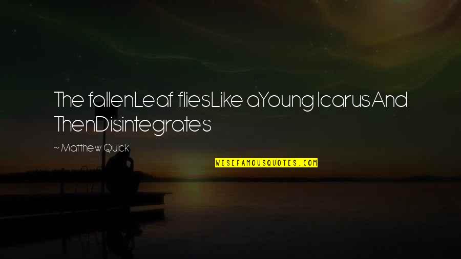 Leaf Leaf Quotes By Matthew Quick: The fallenLeaf fliesLike aYoung IcarusAnd ThenDisintegrates Leaf Leaf Quotes By Matthew Quick: The fallenLeaf fliesLike aYoung IcarusAnd ThenDisintegrates