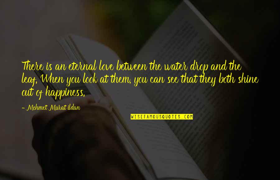 Leaf Leaf Quotes By Mehmet Murat Ildan: There is an eternal love between the water Leaf Leaf Quotes By Mehmet Murat Ildan: There is an eternal love between the water