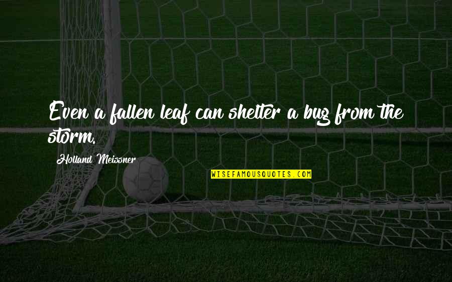 Leaf Quotes By Holland Meissner: Even a fallen leaf can shelter a bug Leaf Quotes By Holland Meissner: Even a fallen leaf can shelter a bug