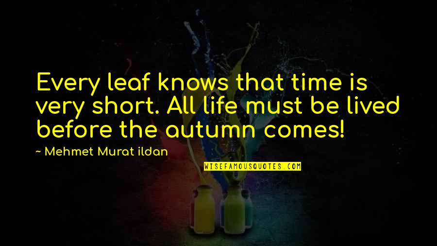 Leafs Quotes By Mehmet Murat Ildan: Every leaf knows that time is very short.