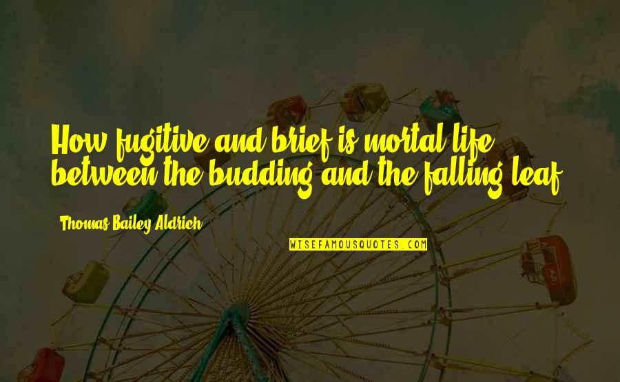 Leafs Quotes By Thomas Bailey Aldrich: How fugitive and brief is mortal life between Leafs Quotes By Thomas Bailey Aldrich: How fugitive and brief is mortal life between