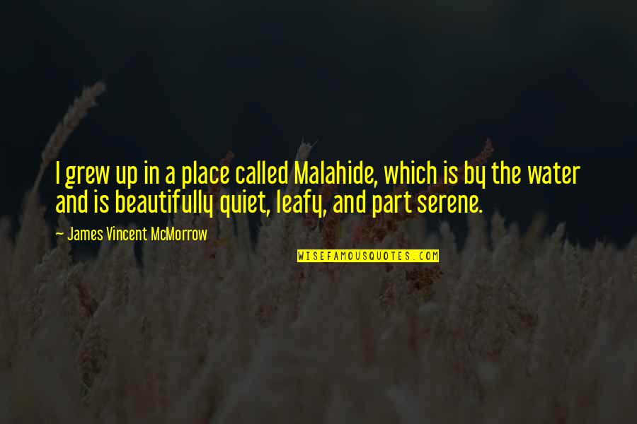Leafy Quotes By James Vincent McMorrow: I grew up in a place called Malahide,