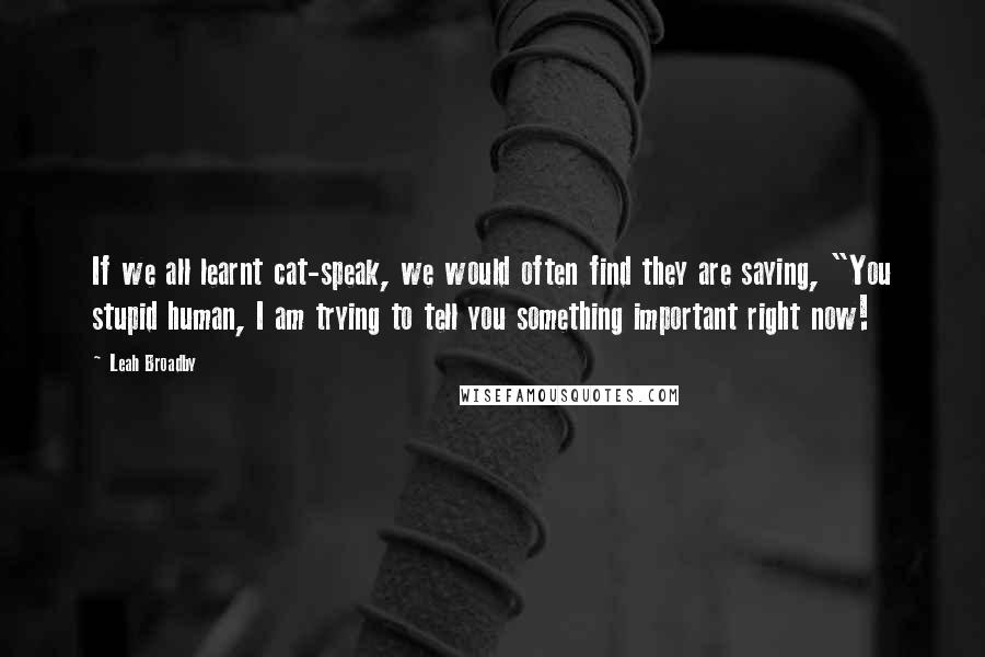 Leah Broadby quotes: If we all learnt cat-speak, we would often find they are saying, "You stupid human, I am trying to tell you something important right now!