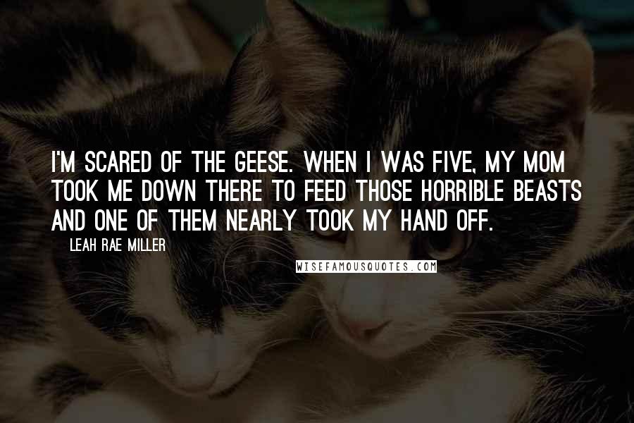 Leah Rae Miller quotes: I'm scared of the geese. When I was five, my mom took me down there to feed those horrible beasts and one of them nearly took my hand off.