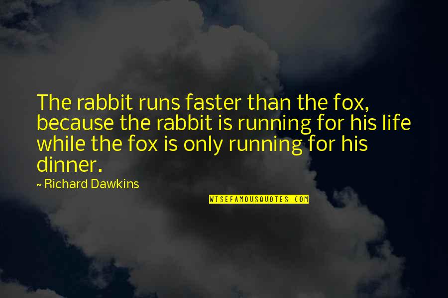 Leal Quotes By Richard Dawkins: The rabbit runs faster than the fox, because Leal Quotes By Richard Dawkins: The rabbit runs faster than the fox, because