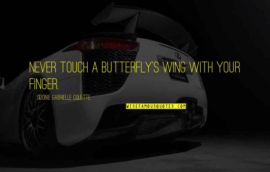 Lean Drink Quotes By Sidonie Gabrielle Colette: Never touch a butterfly's wing with your finger.