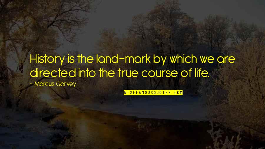 Lean On Your Friends Quotes By Marcus Garvey: History is the land-mark by which we are