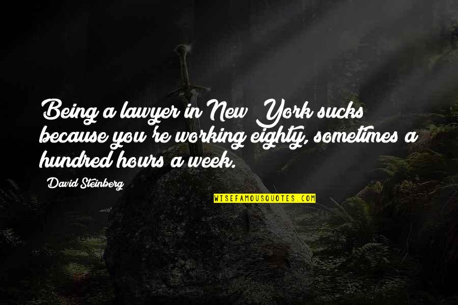 Leapfrogging Goodnight Quotes By David Steinberg: Being a lawyer in New York sucks because