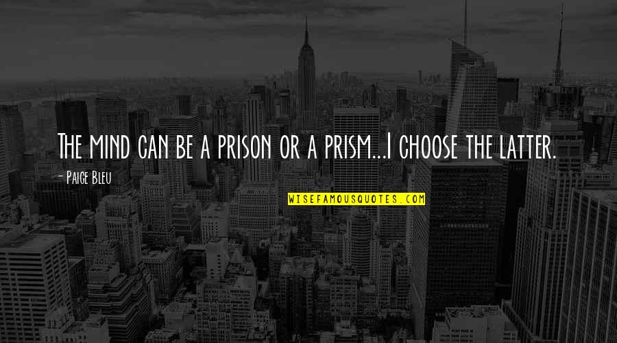 Learjet 45 Quotes By Paige Bleu: The mind can be a prison or a