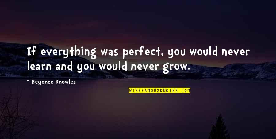 Learn And Grow Quotes By Beyonce Knowles: If everything was perfect, you would never learn