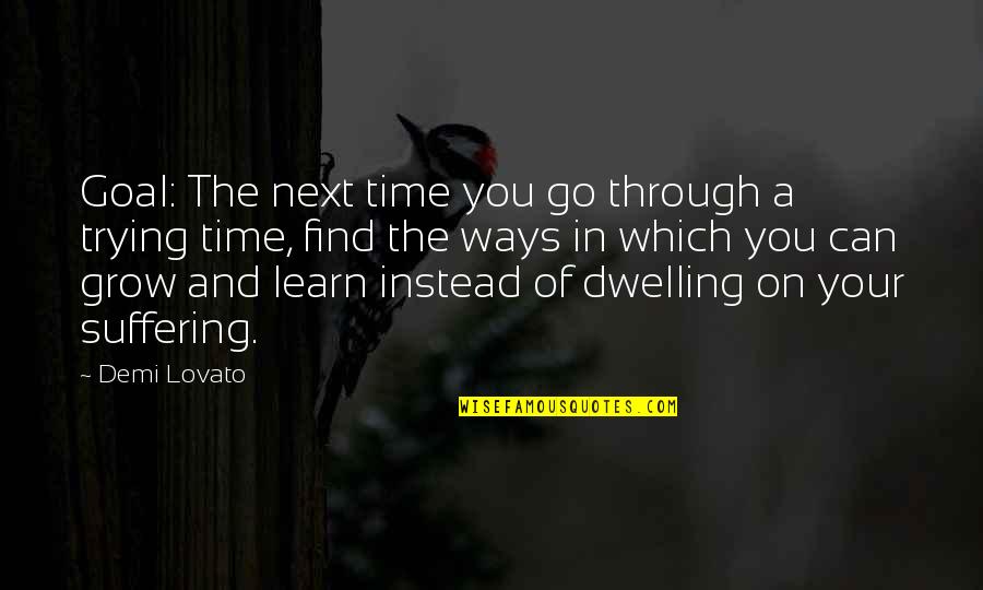 Learn And Grow Quotes By Demi Lovato: Goal: The next time you go through a