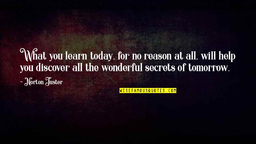 Learn Discover Quotes By Norton Juster: What you learn today, for no reason at