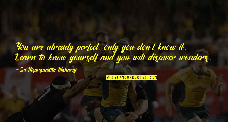 Learn Discover Quotes By Sri Nisargadatta Maharaj: You are already perfect, only you don't know