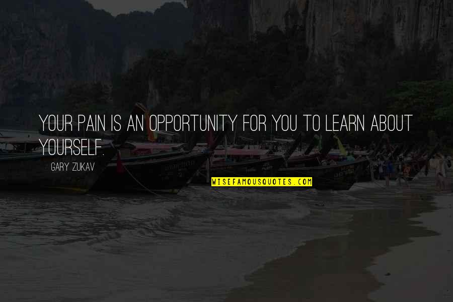 Learn For Yourself Quotes By Gary Zukav: Your pain is an opportunity for you to