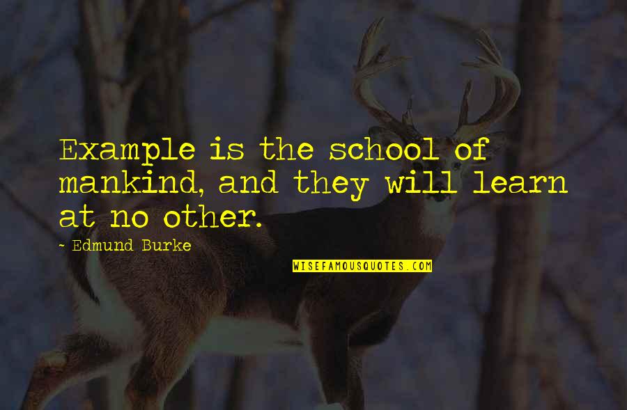 Learn From Example Quotes By Edmund Burke: Example is the school of mankind, and they