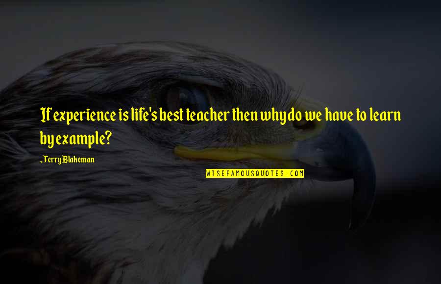 Learn From Example Quotes By Terry Blakeman: If experience is life's best teacher then why