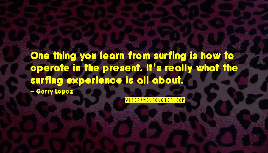 Learn From Experience Quotes By Gerry Lopez: One thing you learn from surfing is how