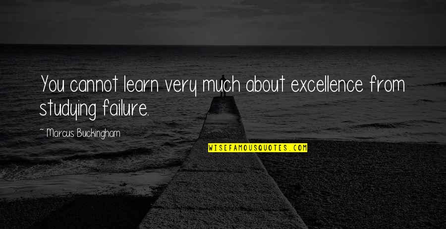 Learn From Failure Quotes By Marcus Buckingham: You cannot learn very much about excellence from