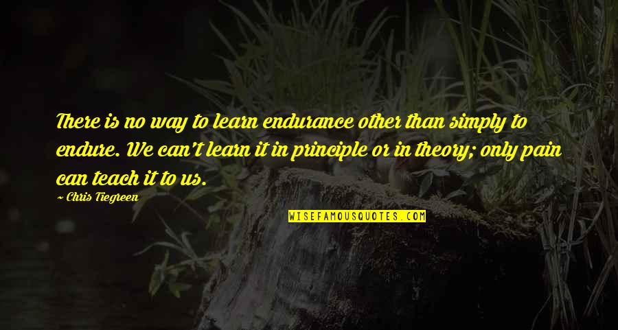 Learn From Pain Quotes By Chris Tiegreen: There is no way to learn endurance other