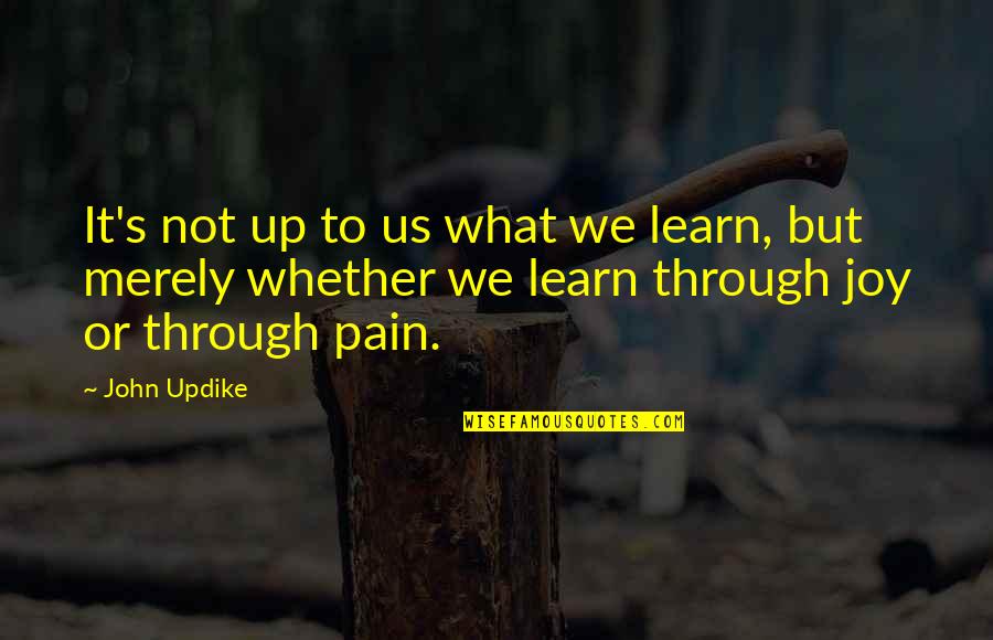 Learn From Pain Quotes By John Updike: It's not up to us what we learn,