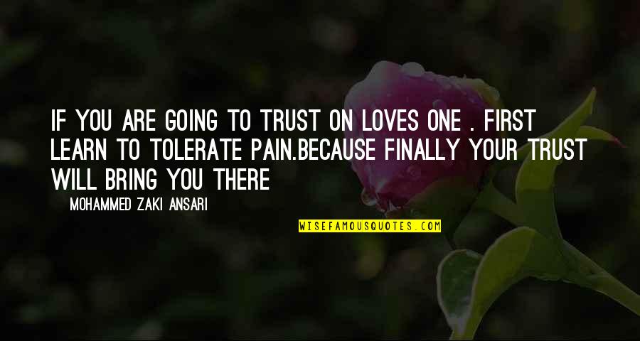 Learn From Pain Quotes By Mohammed Zaki Ansari: If you are going to trust on loves