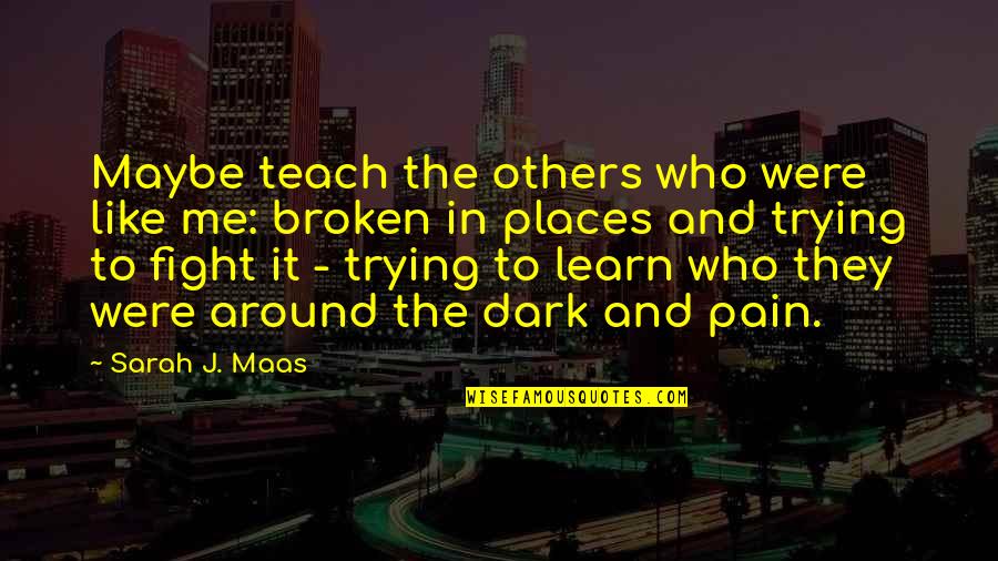 Learn From Pain Quotes By Sarah J. Maas: Maybe teach the others who were like me: