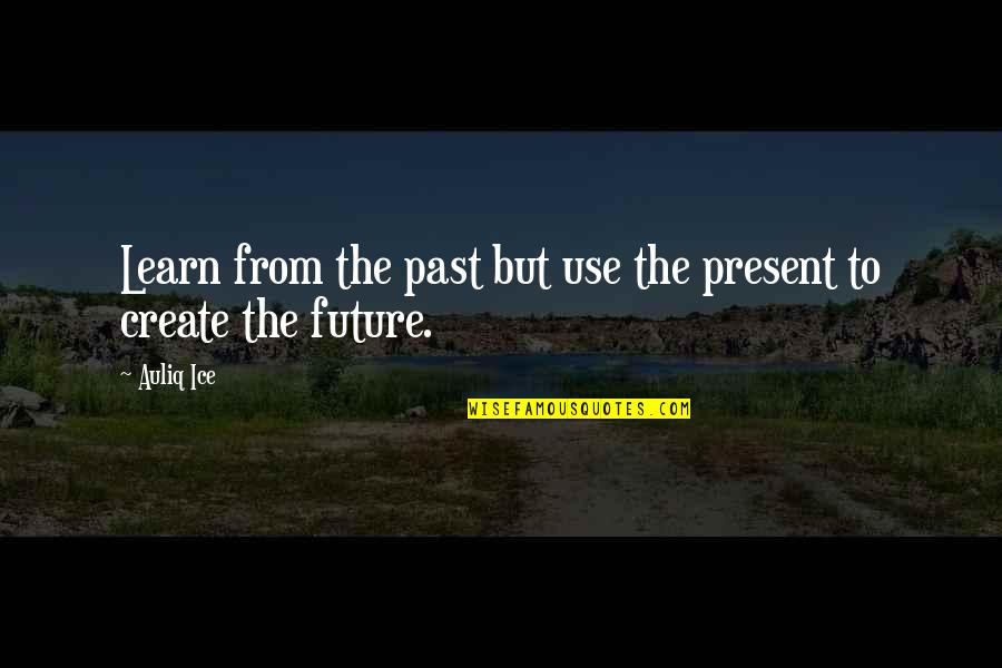 Learn From The Past Quotes By Auliq Ice: Learn from the past but use the present