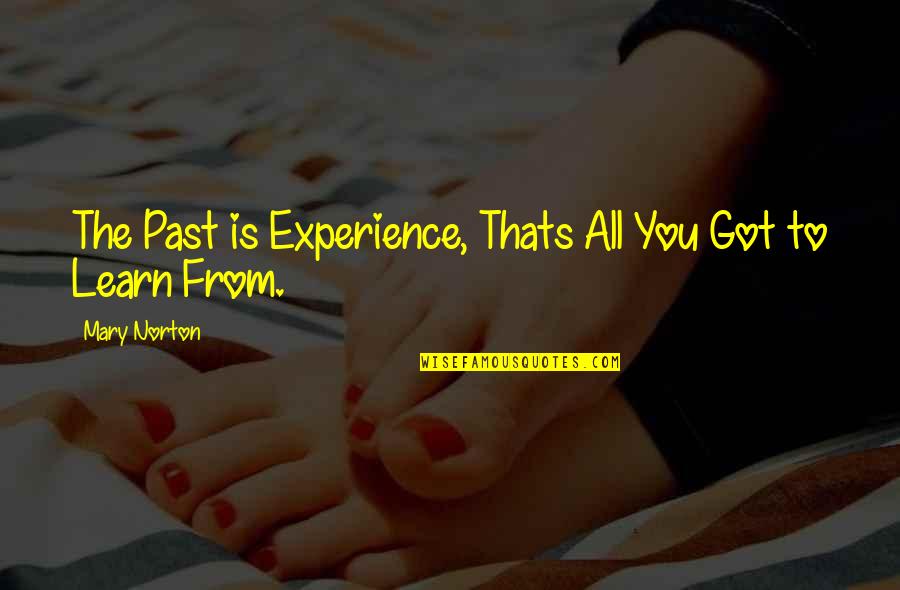 Learn From The Past Quotes By Mary Norton: The Past is Experience, Thats All You Got