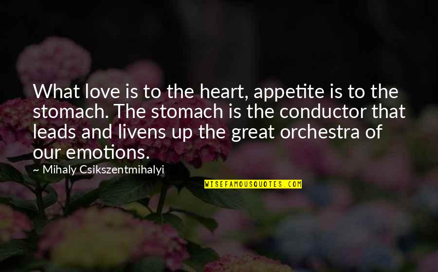 Learn Love Live Life Tumblr Quotes By Mihaly Csikszentmihalyi: What love is to the heart, appetite is
