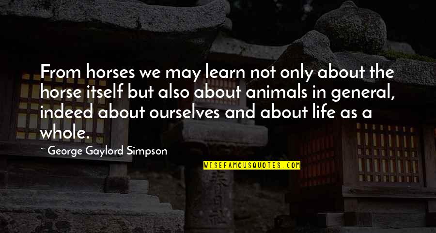 Learn More About Life Quotes By George Gaylord Simpson: From horses we may learn not only about